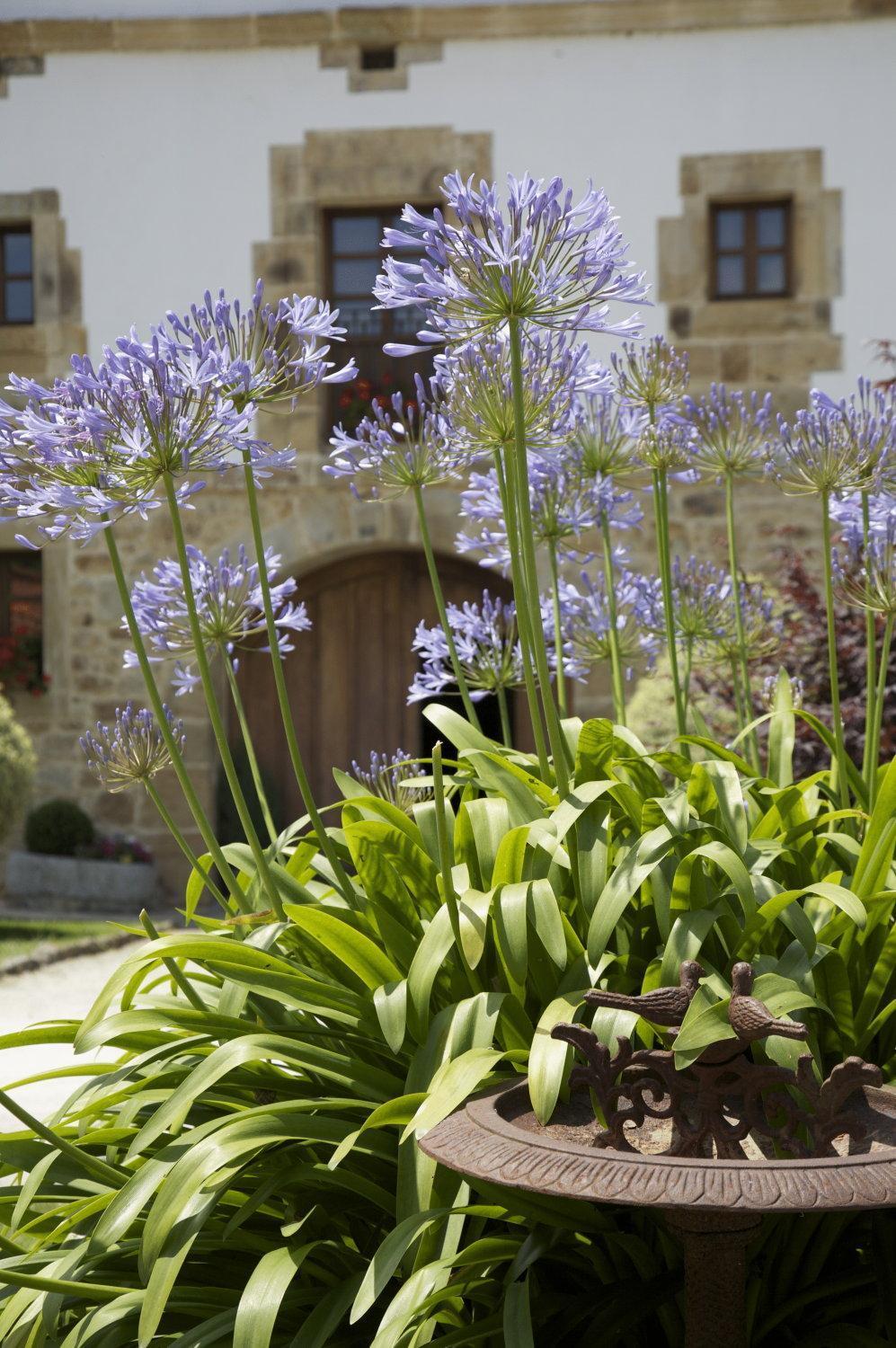 Casona De San Pantaleon De Aras Hotel Exterior photo